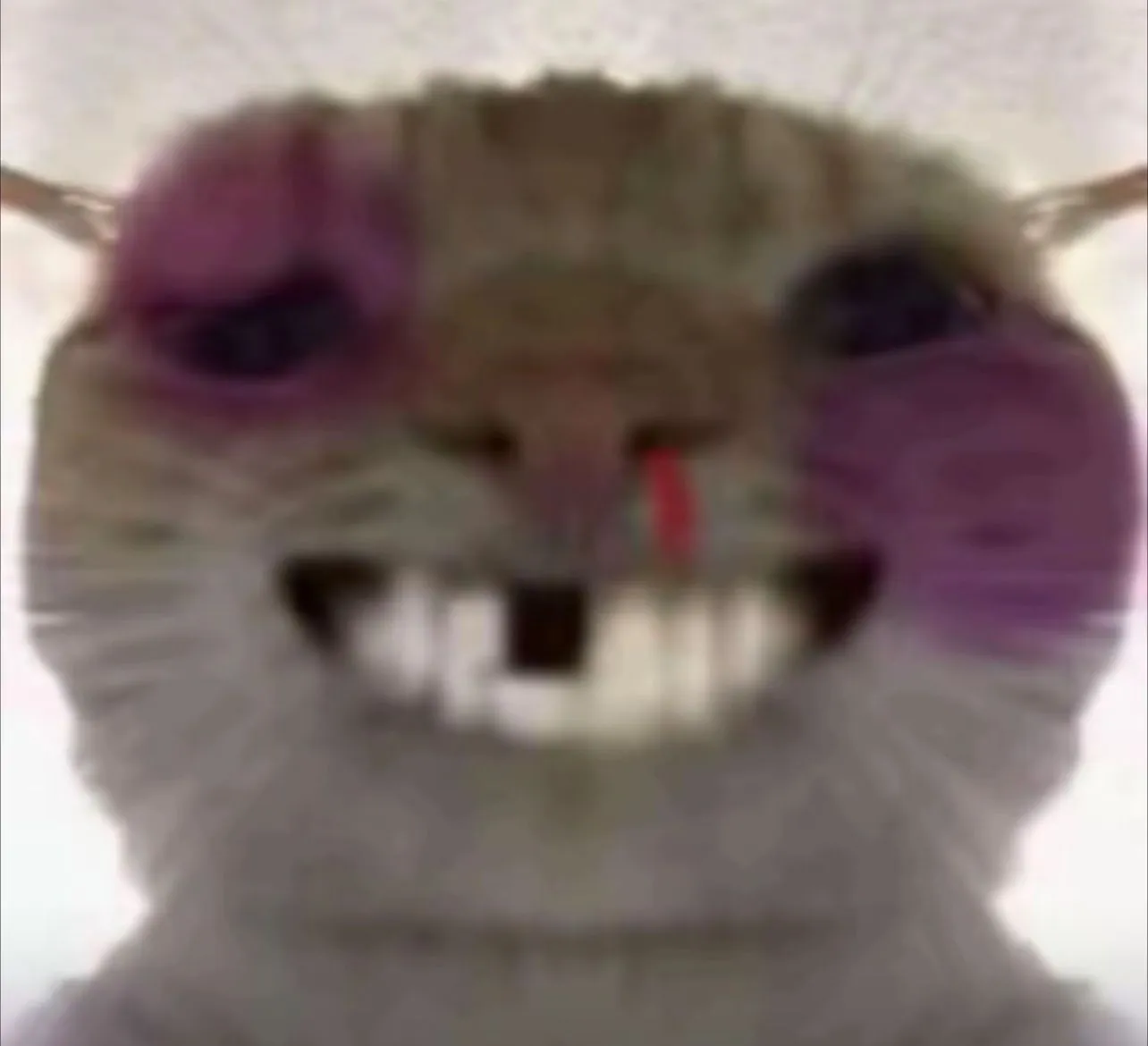 hehehe
